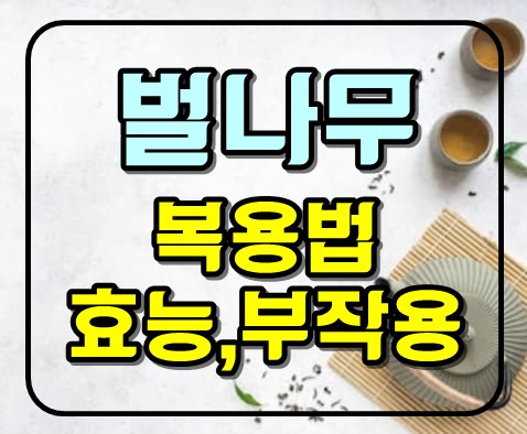  벌나무 복용법 효능 부작용!! 간겅강,고혈압, 항산화작용, 항염증효과