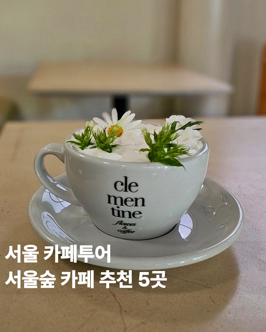 숲카페 이미지