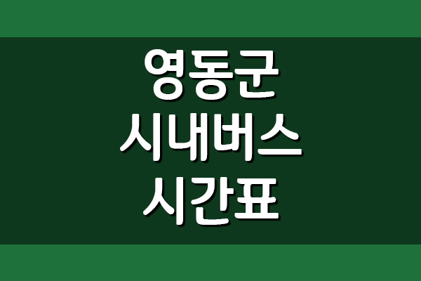  영동군 시내버스 시간표 및 요금 (마을버스, 농어촌버스)