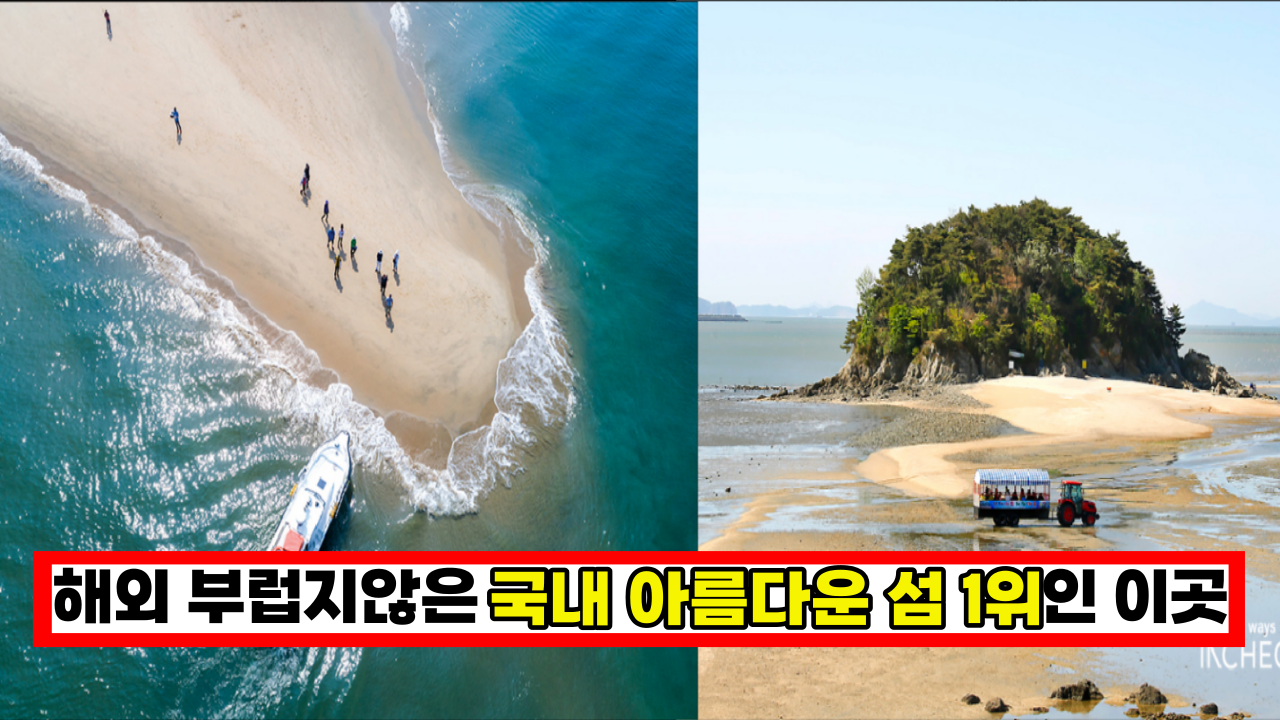  외국 분위기가 한가득, 국내 아름다운 섬 1위인 이곳(+ 멋진카페)
