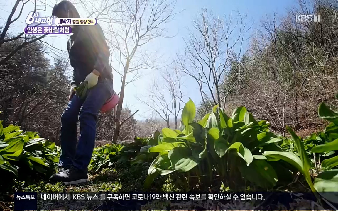 6시 내고향.E7510.220414p.H264-F1RST.mp4_20220419_185750.495.jpg