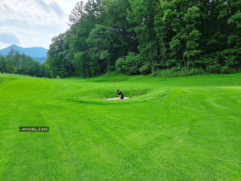 골프에 반하다 세이지우드홍천cc 골프에 반하다촬영지 11