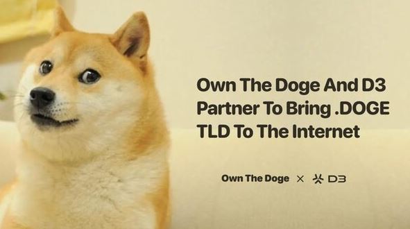 도지 이미지