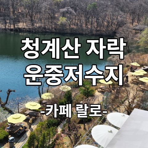  청계산 자락 운중저수지 뷰가 끝내주는 카페 랄로