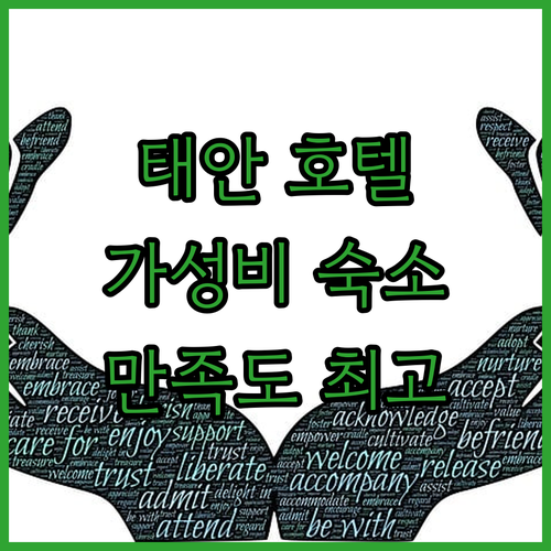 태안 호텔 추천 가성비와 만족도를 모