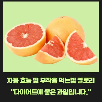 자몽 종류 특성 비교_14