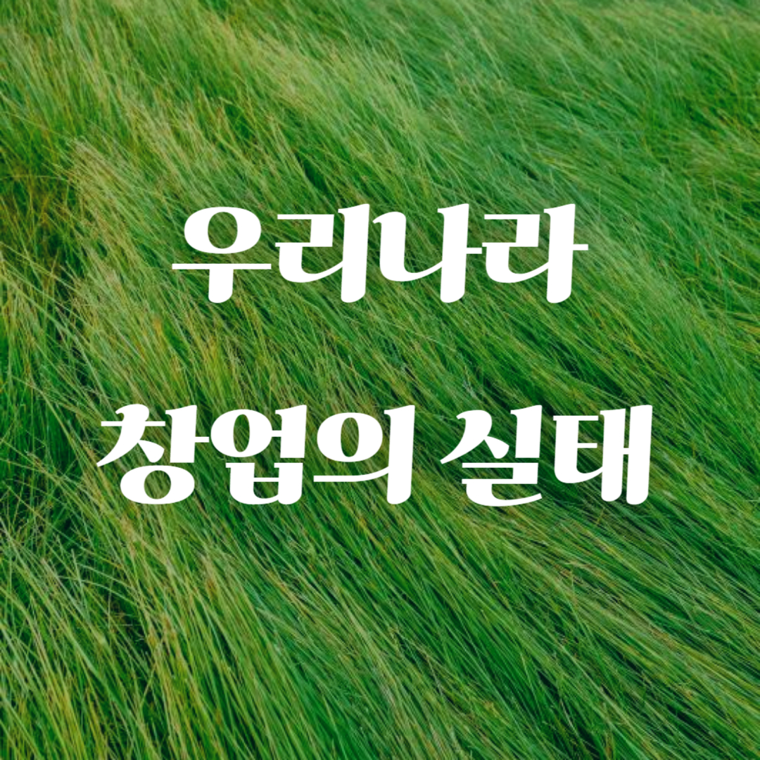 우리나라 창업의 실태 이미지입니다.
