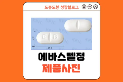 에바스텔정 성상 정보 이미지