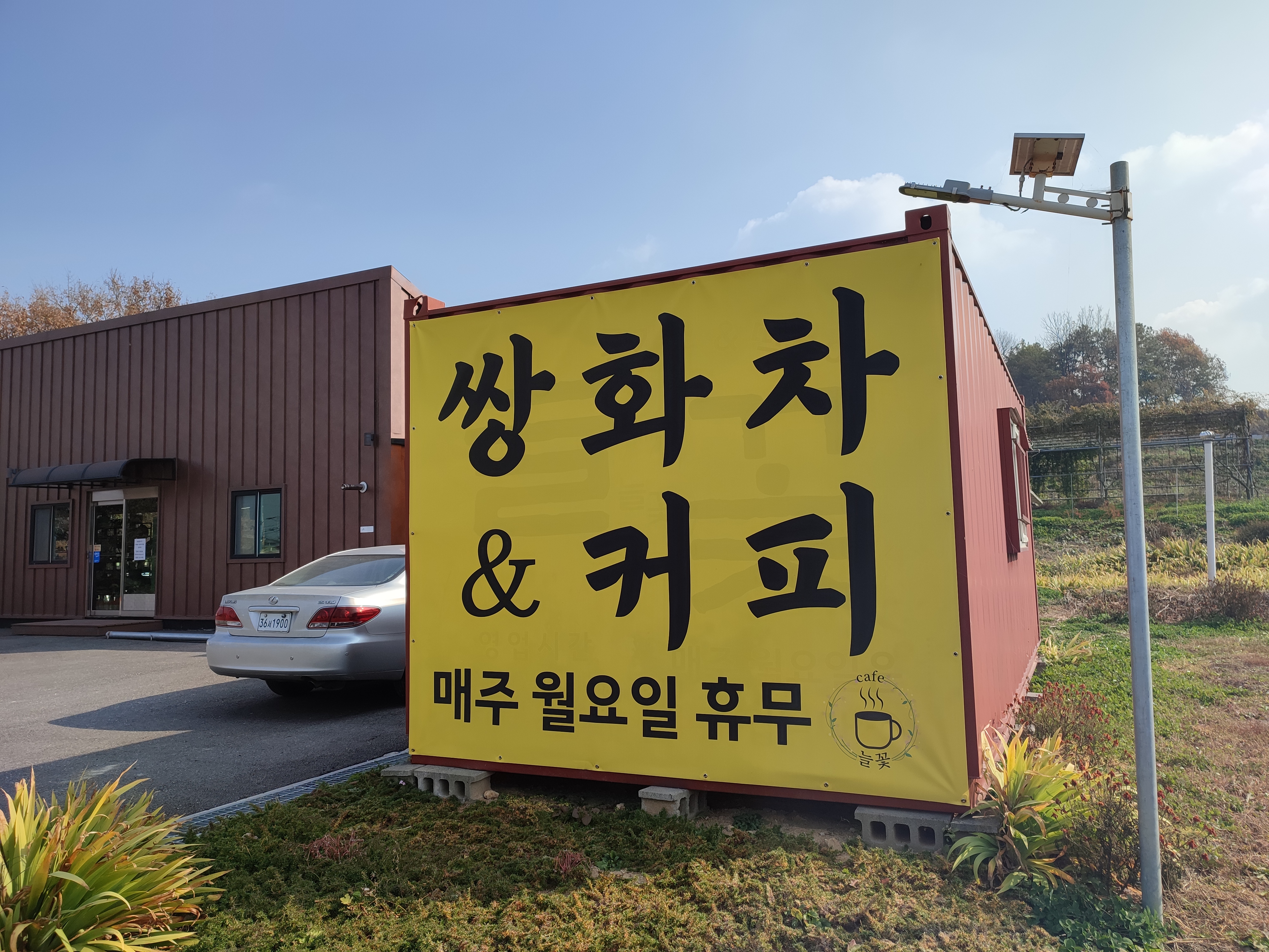 늘꽃 이미지