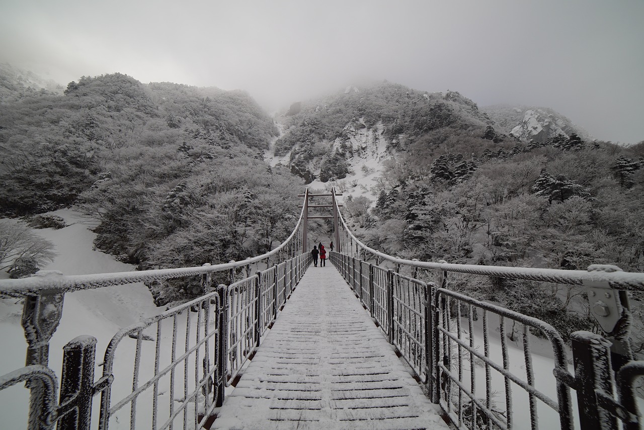 한라산 캠핑