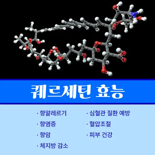 퀘르세틴 효능