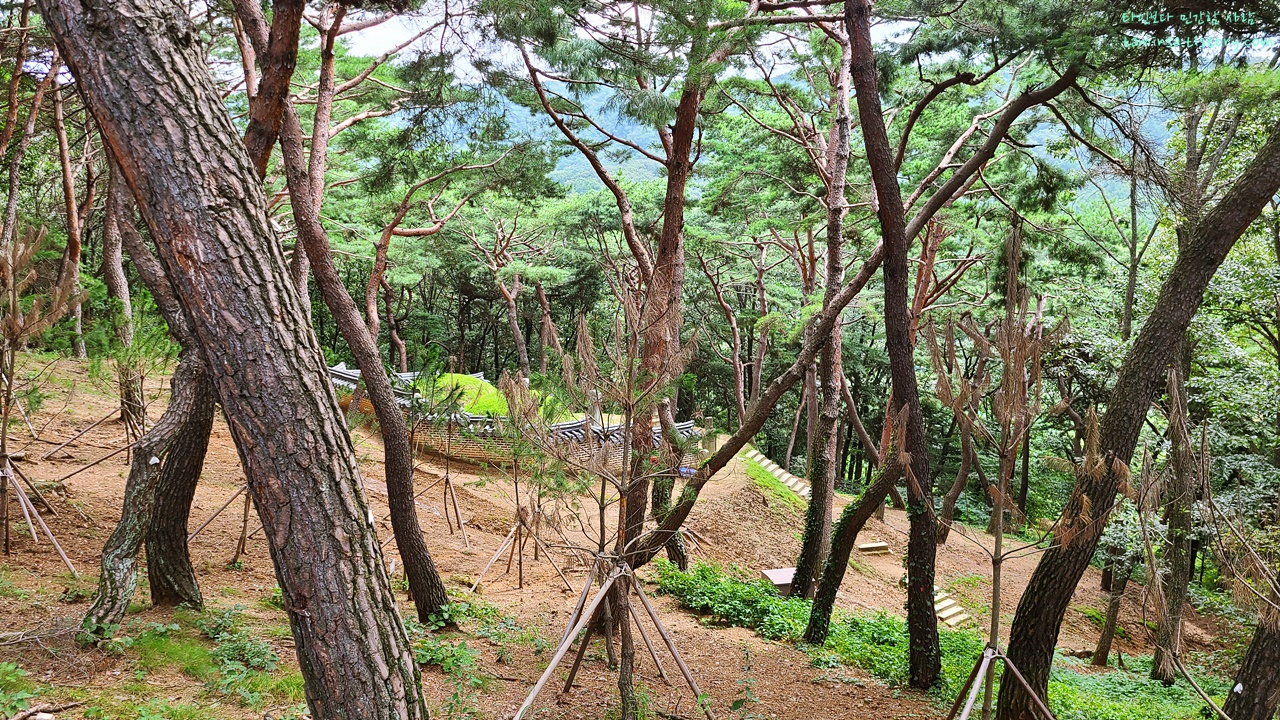 남양주-광해군묘