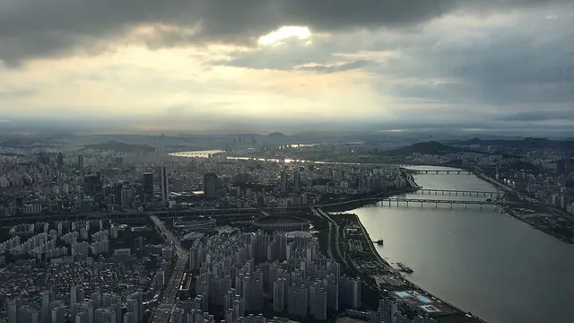성심당 롯데대전점 케익 무너져 내린 망고시루 한 자리서 뚝딱_4