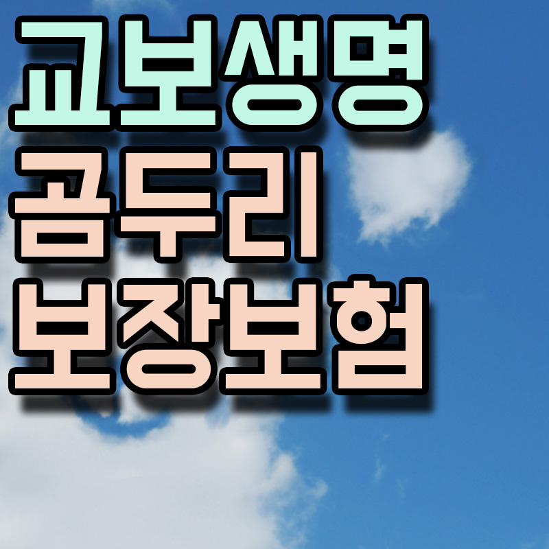 교보생명 곰두리 보장보험 썸네일 이미지