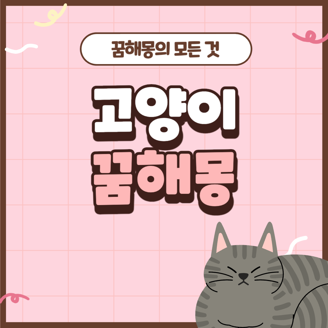 고양이 꿈해몽