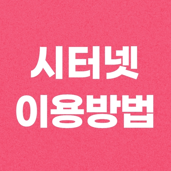  시터넷 베이비시터 쉽게 구하기