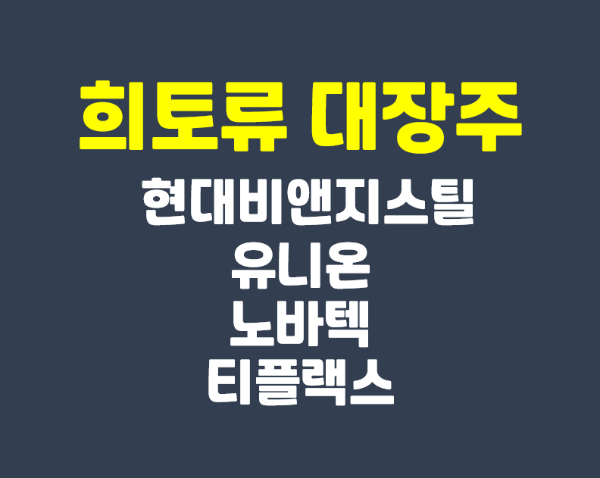 희토류 관련주, 현대비앤지스틸 및 유니온 상한가 종목 이유 정리