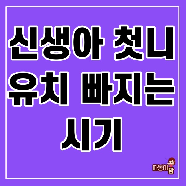  신생아 첫니 와 유치 빠지는 시기