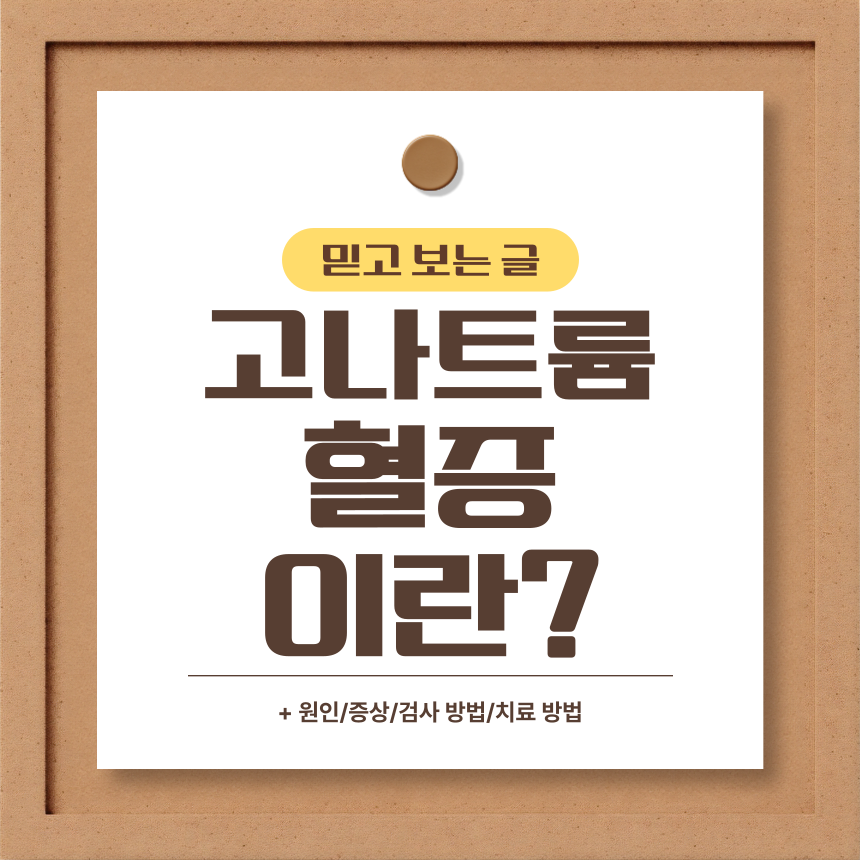  고나트륨혈증 이란?