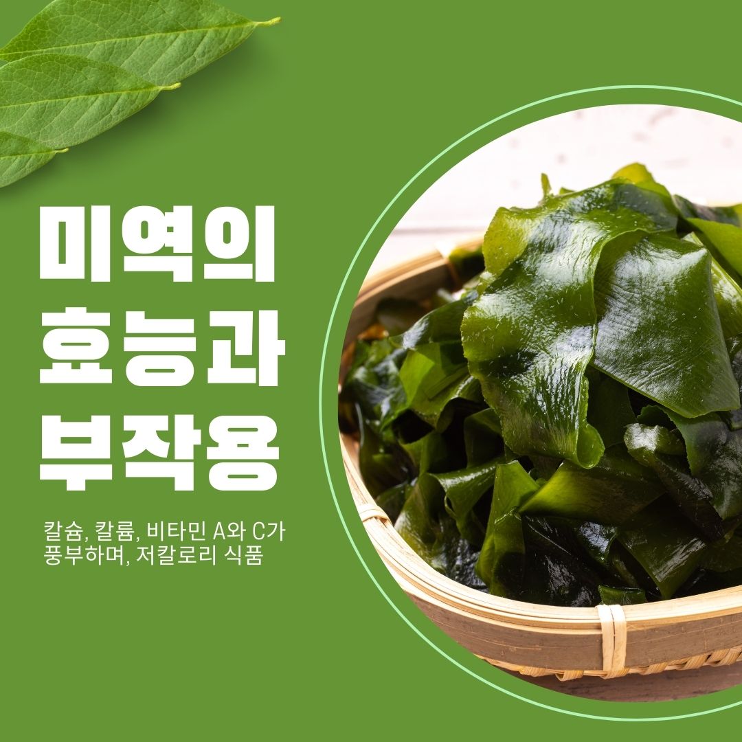 미역의효능