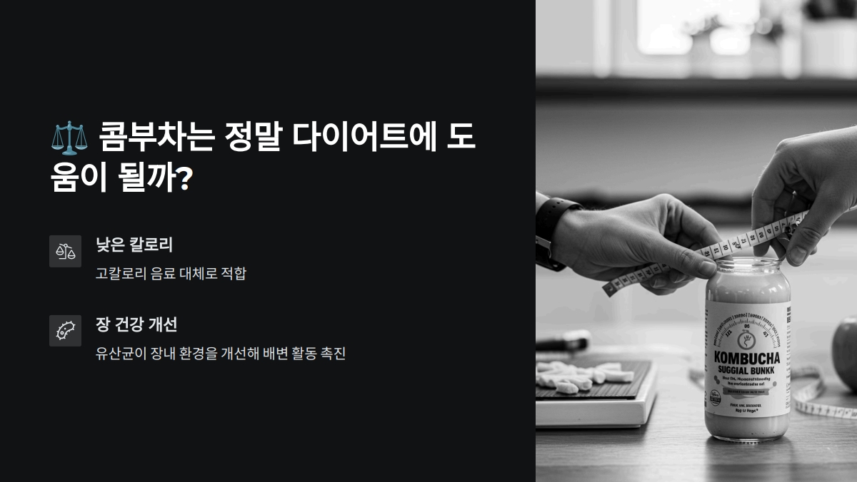콤부차 칼로리