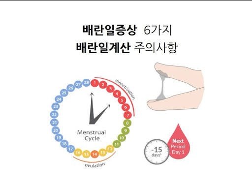  배란일 증상 알아보기