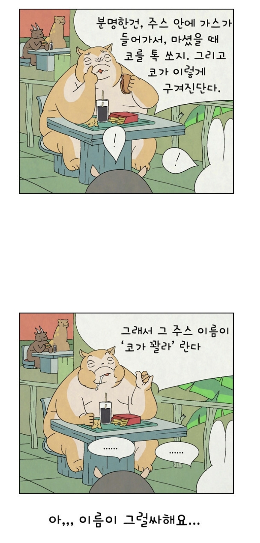 토요요 이미지