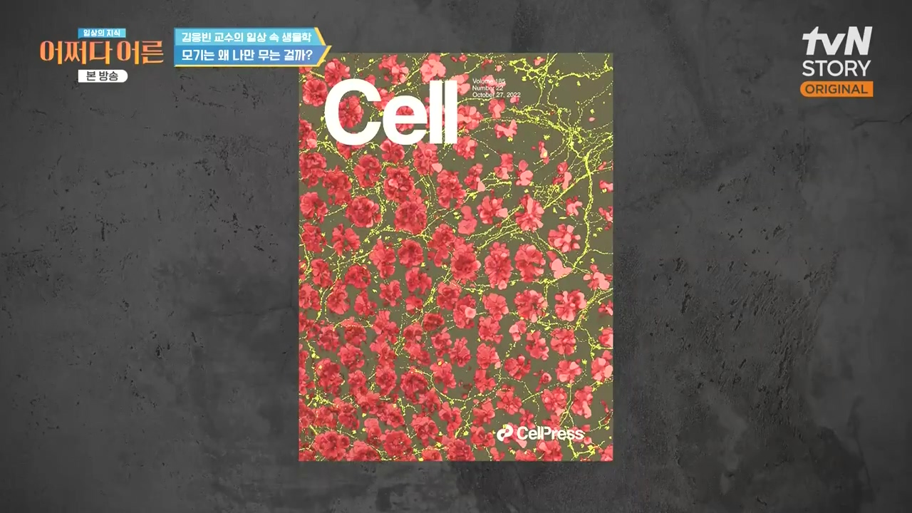 어쩌다 어른.E51.240410p-NEXT.mp4_20240410_173710.815.jpg