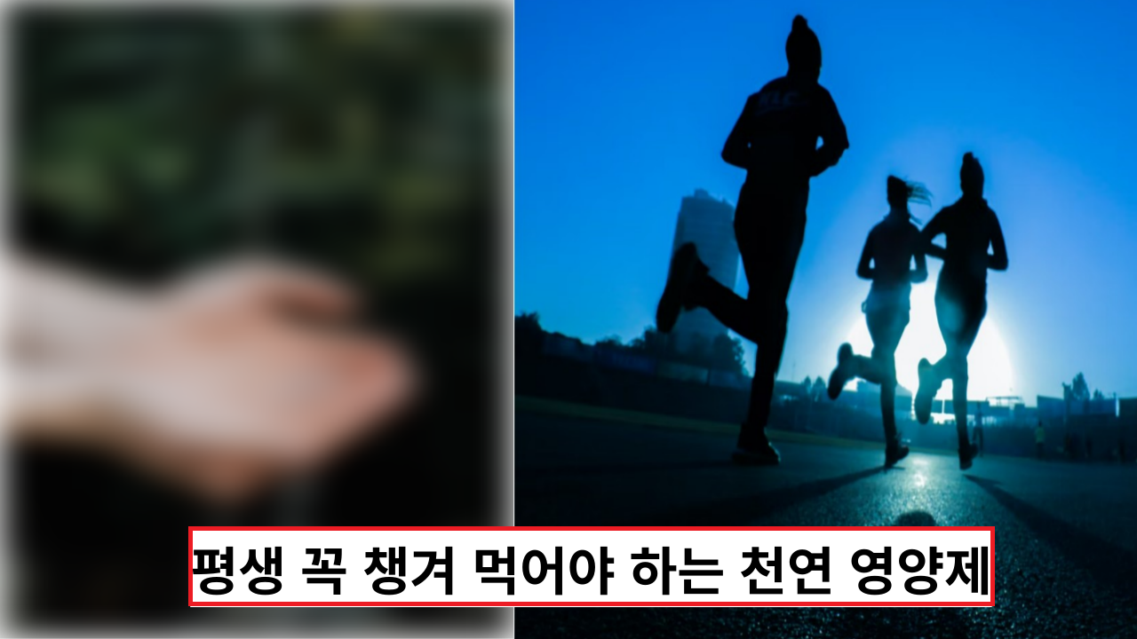  '건강하게 살고 싶다면' 평생 꼭 챙겨 먹어야 하는 천연 영양제