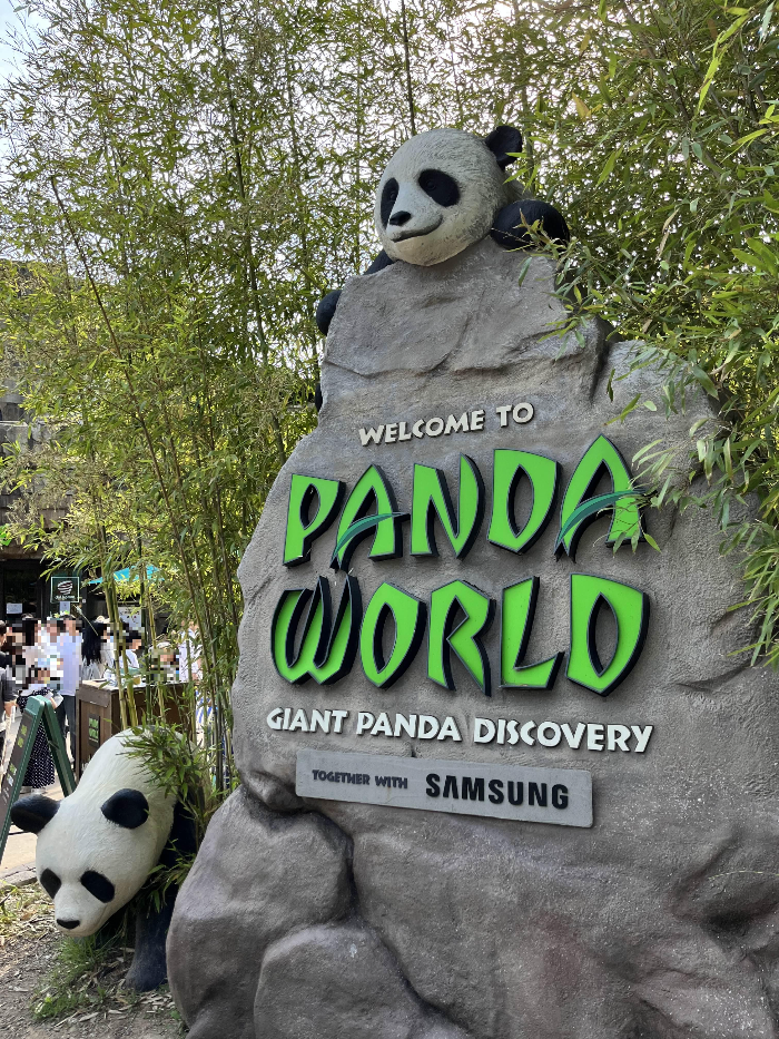 Panda world.🐼🐼🐼