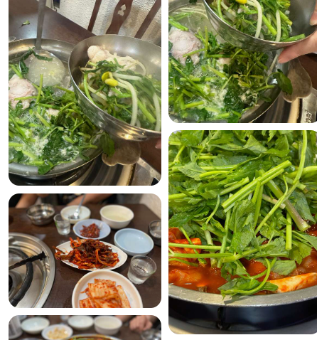방송 맛집