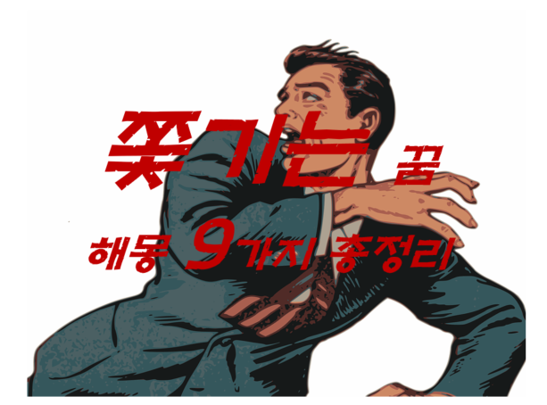  쫓기는 꿈 해몽 9가지 총정리