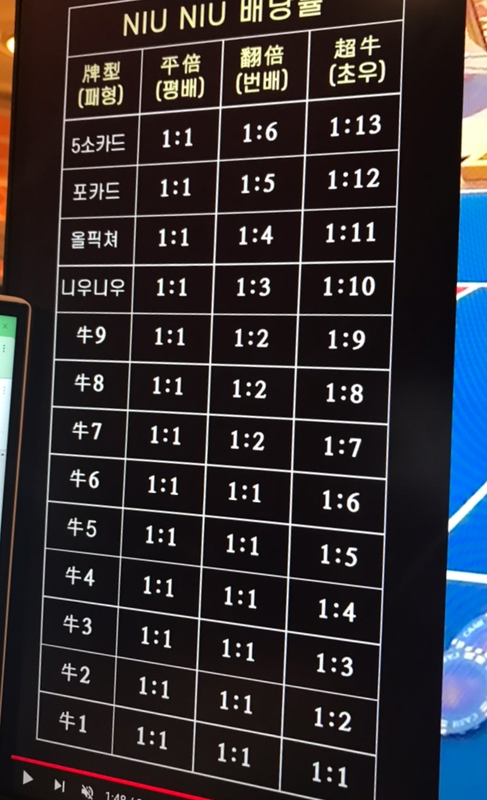 니우니우 이미지