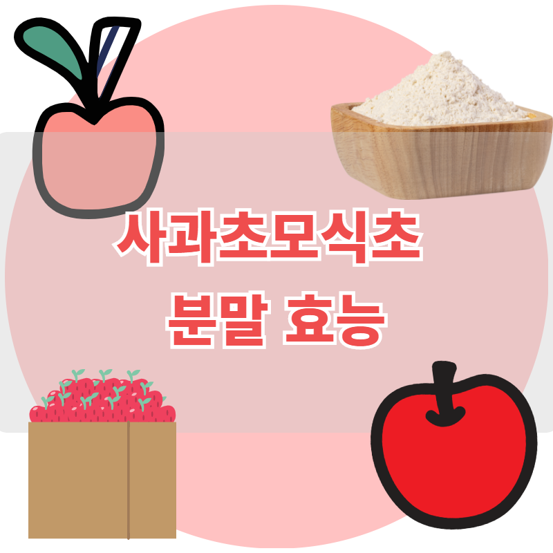  사과초모식초 분말 효능
