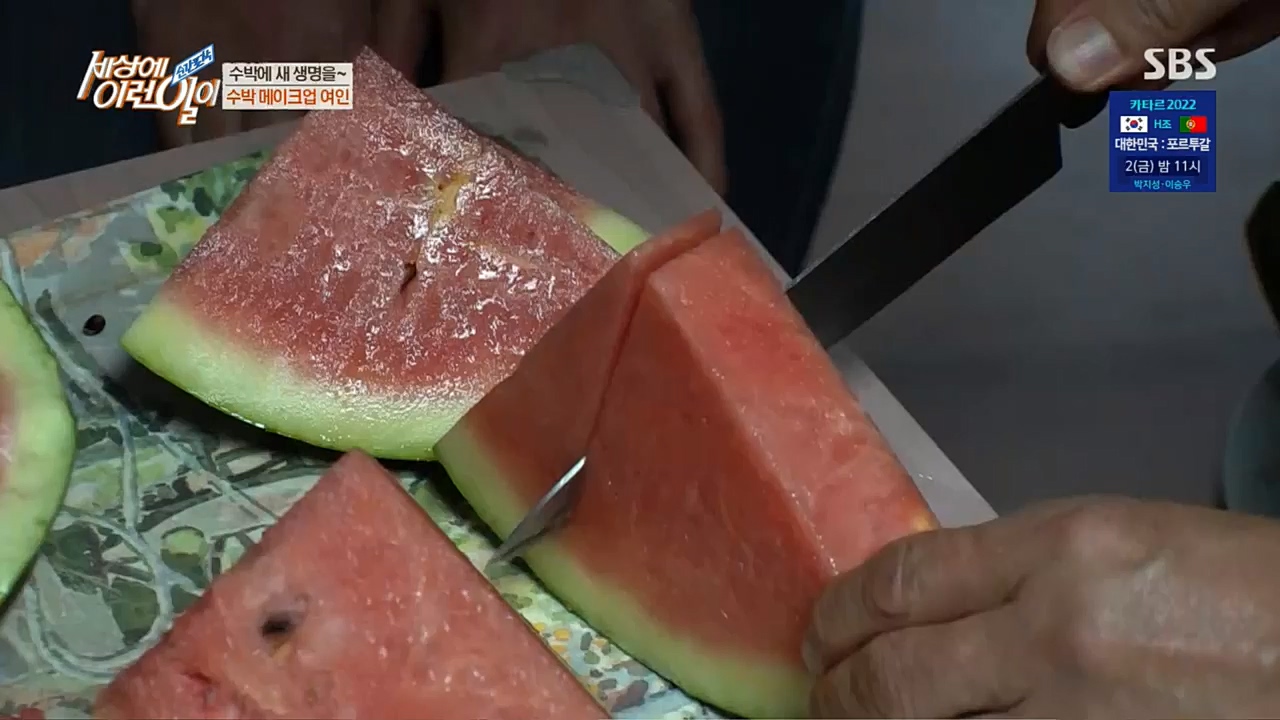 순간포착 세상에 이런일이.E1207.221130p.H264-F1RST.mp4_20221130_195714.915.jpg