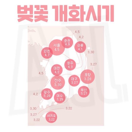  벚꽃개화시기 (feat.서울벚꽃명소)