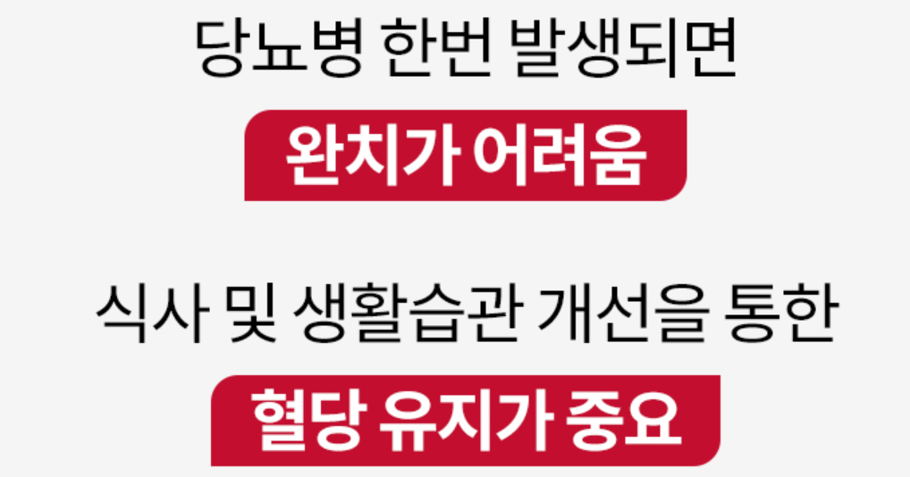 솔티스 혈당 프로텍션 프로