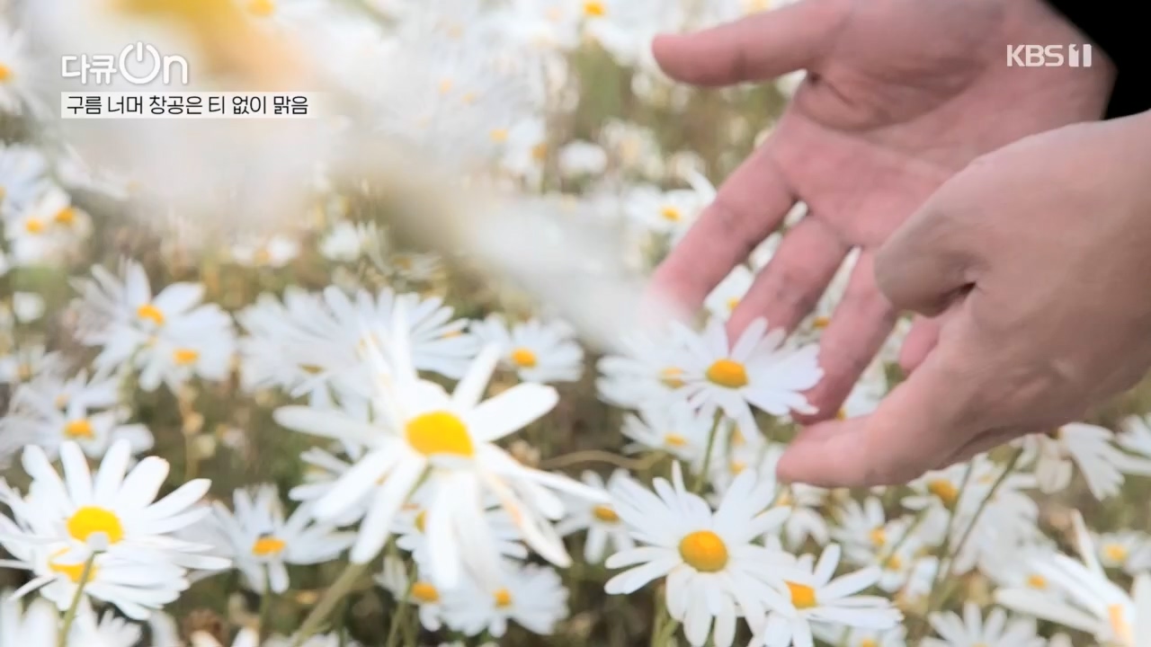 다큐 On.E221.231030p.H264-F1RST.mp4_20231031_202735.397.jpg