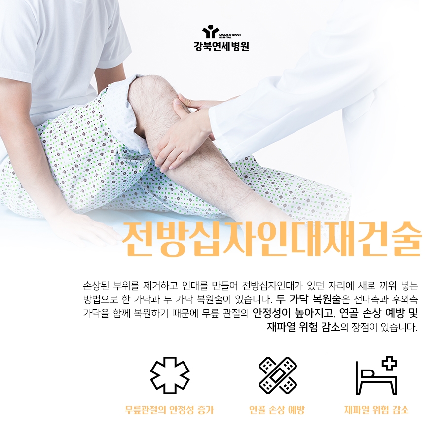 두 가닥 복원술 전방십자인대재건술 안정성을 높인 16