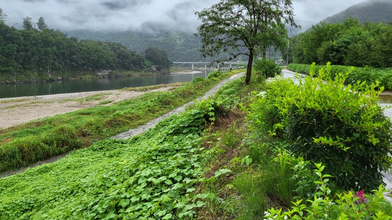 녹색개발(주) 이미지