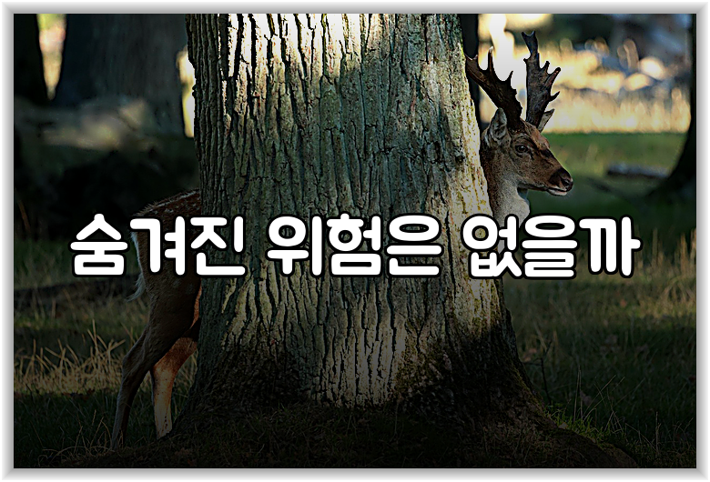 숨겨진 위험은 없을까