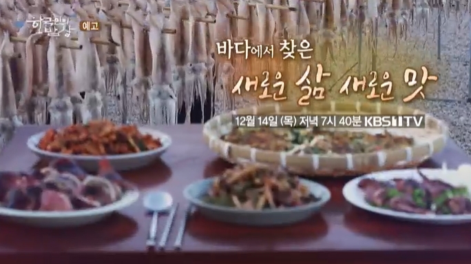 한국인의밥상-영덕-아버지의바다-오징어덕장