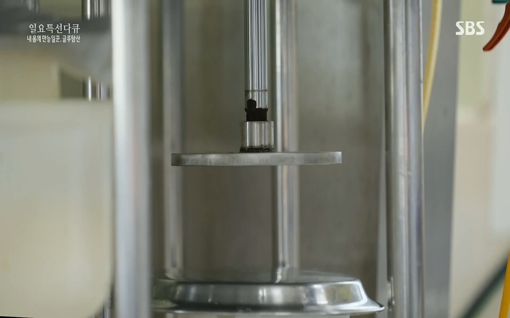 일요 특선 다큐멘터리.E283.220717p.H264-F1RST.mp4_20220718_202857.229.jpg