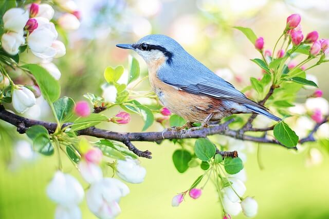 컴퓨터 배경 화면을 변경하는 방법