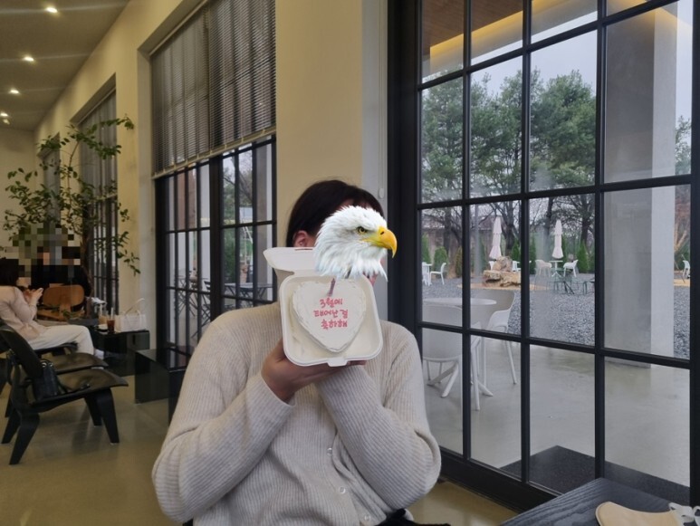 케이크플래닛 이미지