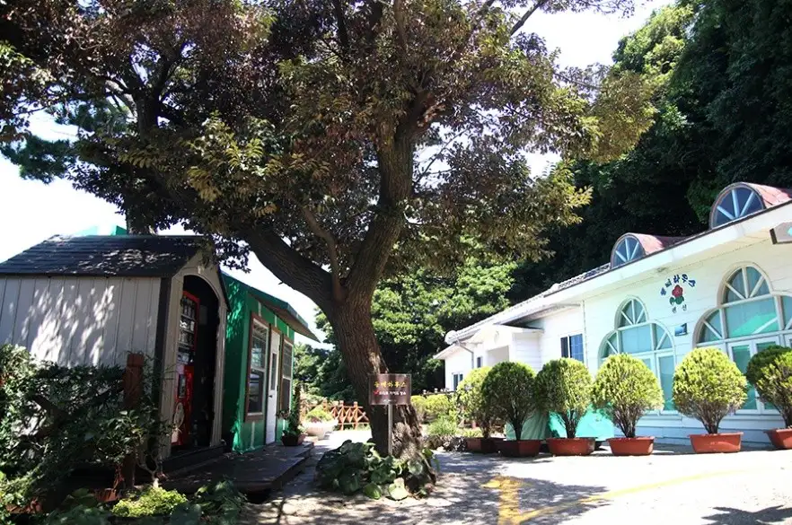 지심도 펜션