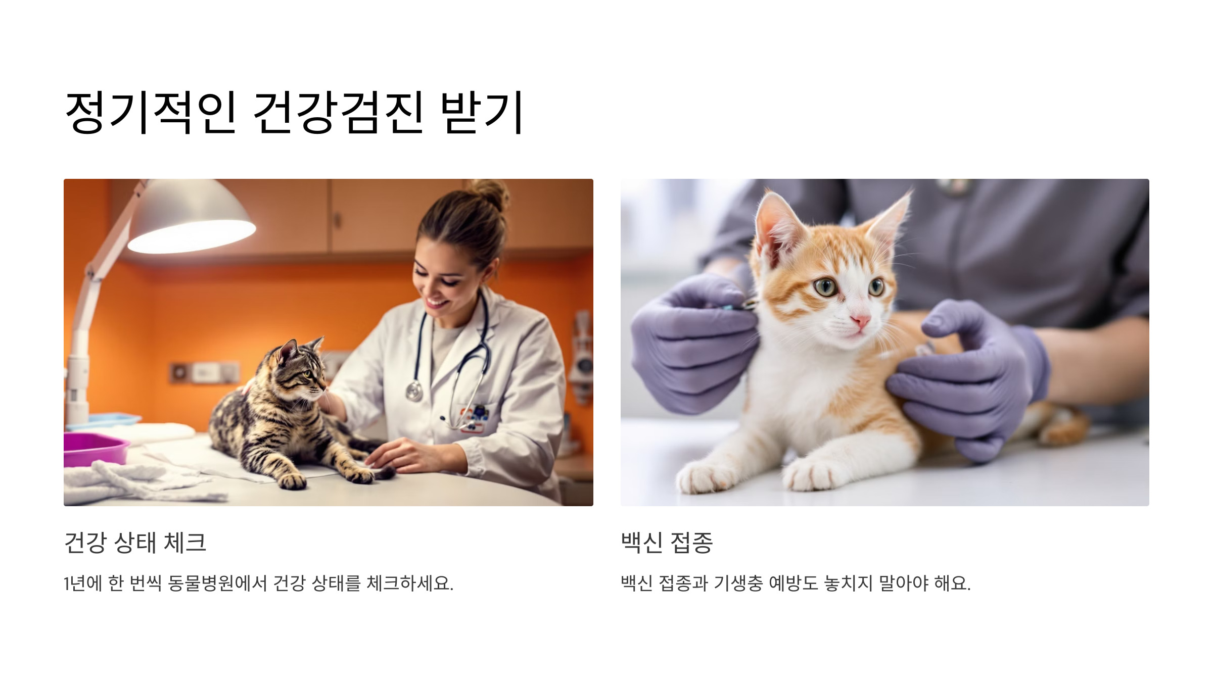 🐾 6. 정기적인 건강검진 받기