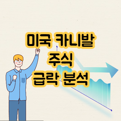  미국 카니발 주식 급락, 국내 해운주도 영향 미칠까
