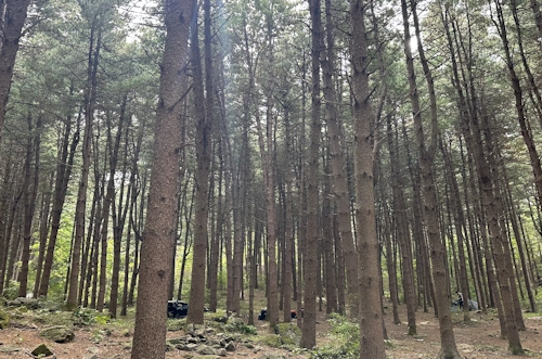 Palhyeon Campground (Namyangju)