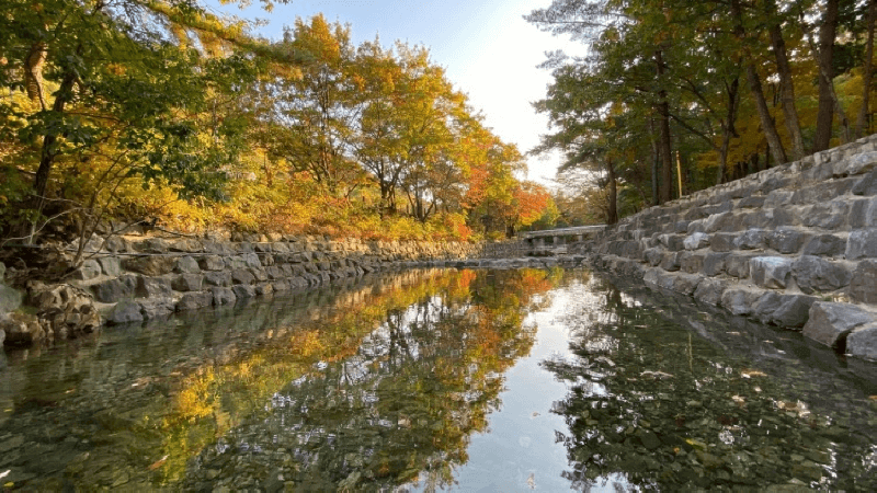  [경북/청도] 부산근교 계곡 숲 청도수리덤오토캠핑장 :: 인포캠핑